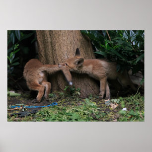 Poster Bebês Mais Pobres Brincadeiras