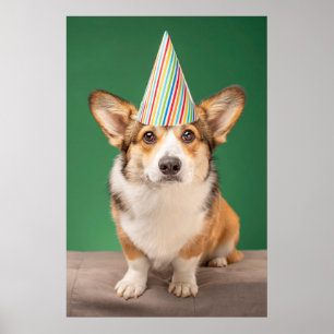 Poster Bebês Mais Pobres Corgi Birthday Puppy