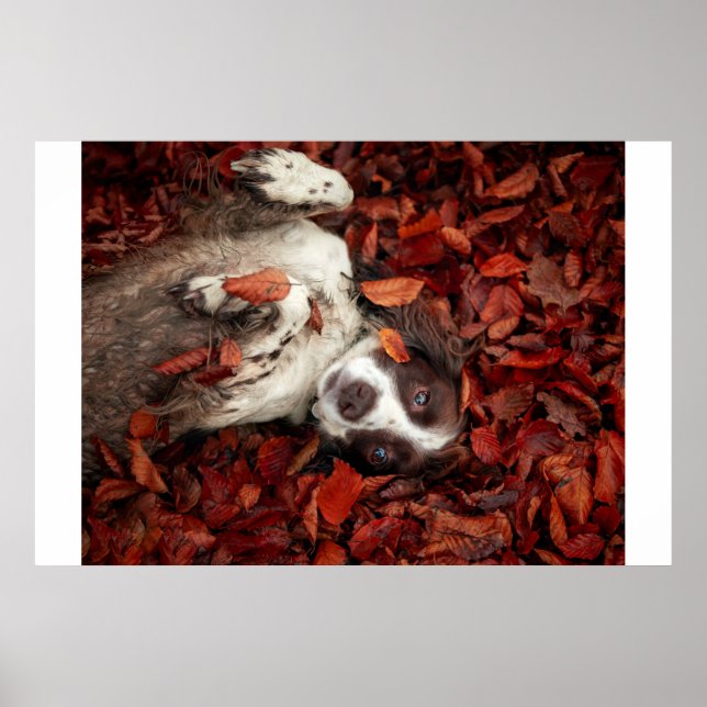 Poster Bebês Mais Pobres | Espanhol nas Folhas de outono (Frente)