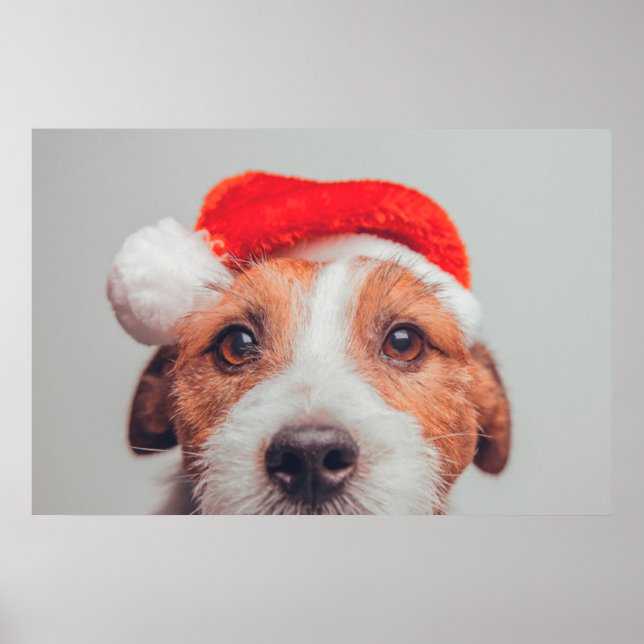 Poster Bebês Mais Pobres | Jack Russell Dog Santa Claus (Frente)