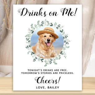 Poster Bebidas Por Minha Conta Cachorro Bar Aberto Foto P