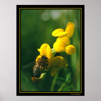 Poster Bee Breakfast