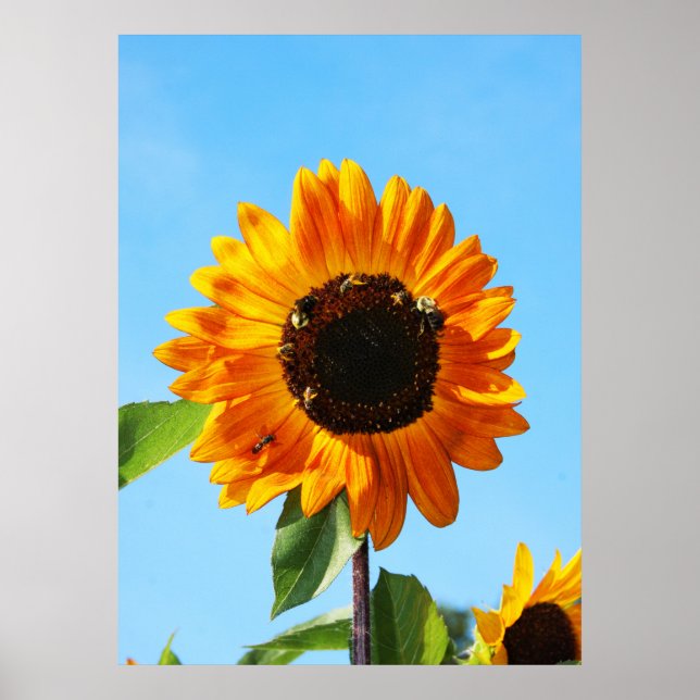 Poster Bee Party 1 (Frente)