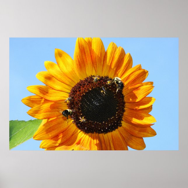 Poster Bee Party 2 (Frente)