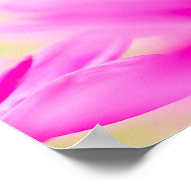 Poster Before the Bloom (Borda)