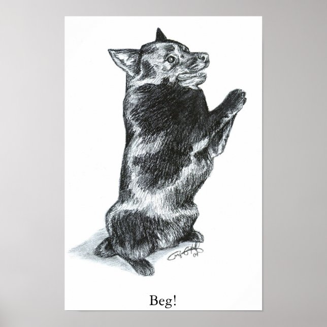 Poster Beg! (Frente)