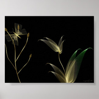 Poster bege em preto