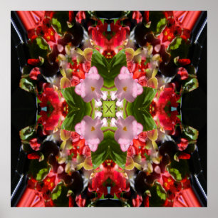 Poster Begonia está apaixonada....