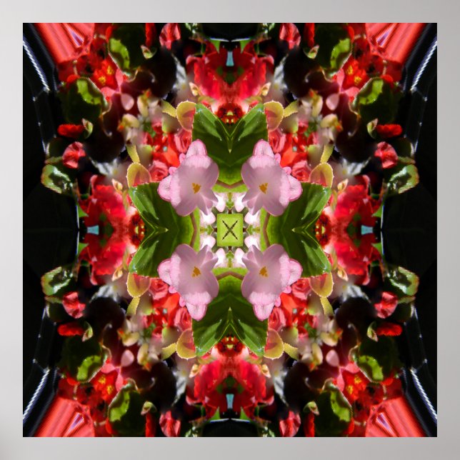 Poster Begonia está apaixonada.... (Frente)