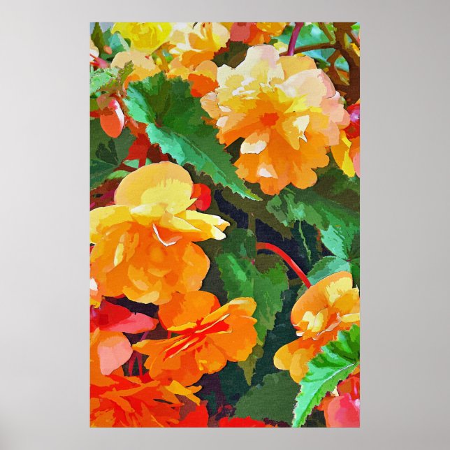 POSTER BEGONIAS (Frente)