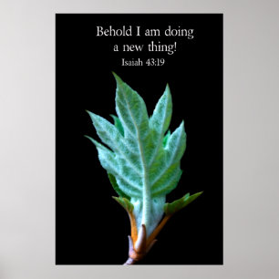 Poster Behold me estão fazendo uma coisa nova