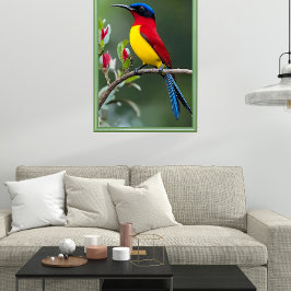 Poster beija-flor-de-gould