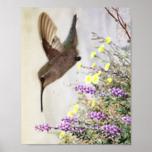 Poster Beija-flor e Flores Silvestres Arte Digital