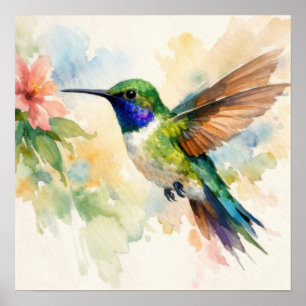 Poster Beija-flor em Aquarela