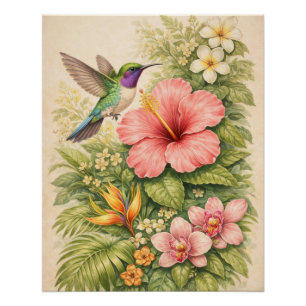 Pôster Beija-flor Tropical Vibrante Botânico Hibisco 