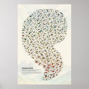 Poster Beija-flores - Luz