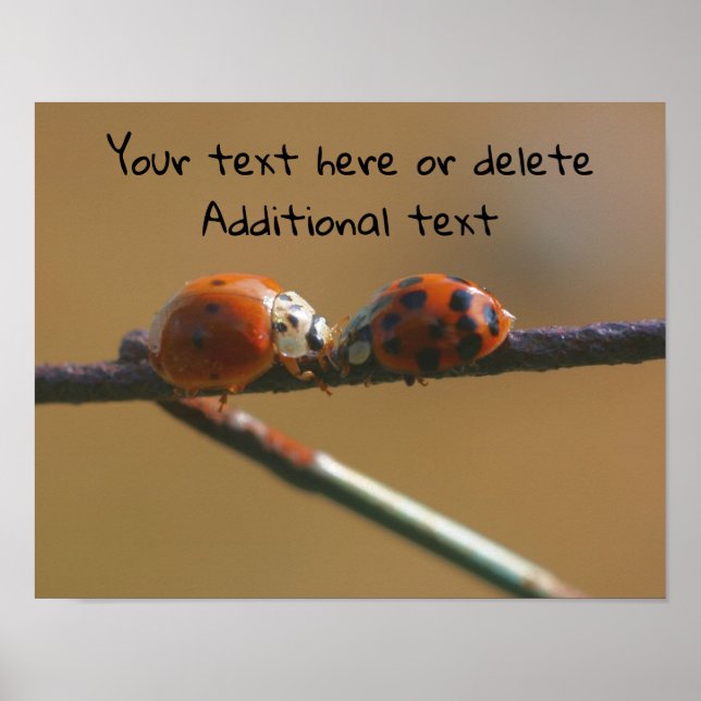 Poster Beijar Damybugs Personalizado (Frente)