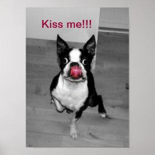 PÔSTER BEIJE-ME