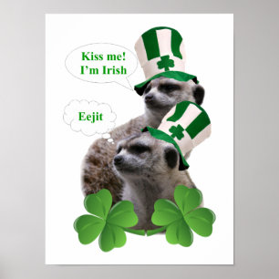 Pôster Beije-me, sou um design irlandês de meerkat