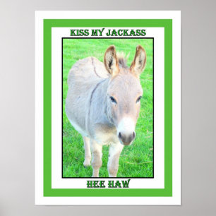 PÔSTER BEIJE MEU JACKASS, HAW DE HEE