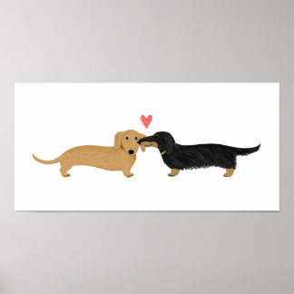 Pôster Beijo de Dachshund com Coração