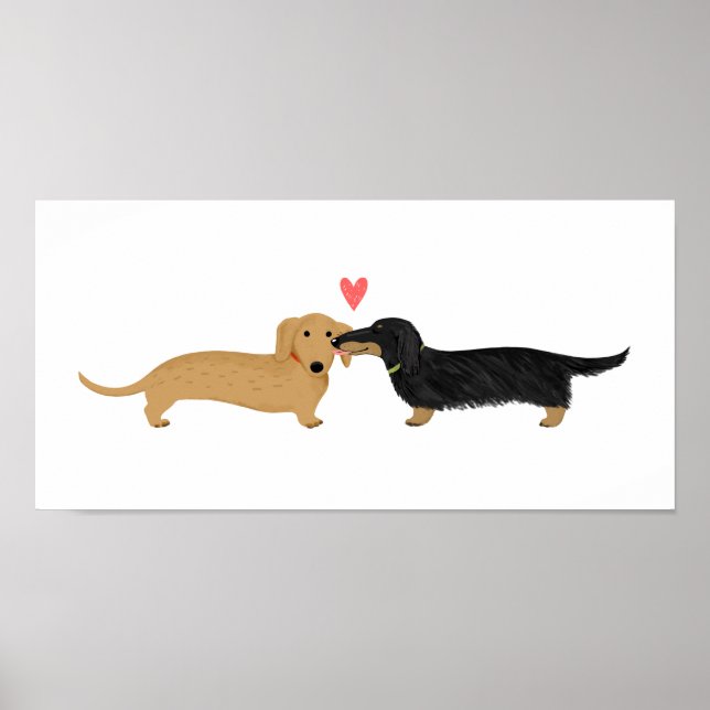 Pôster Beijo de Dachshund com Coração (Frente)
