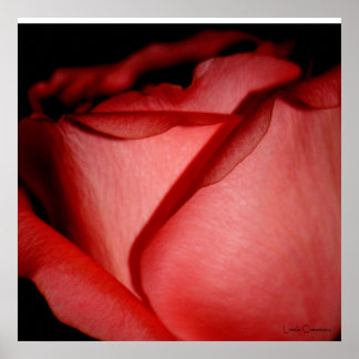 Pôster Beijo de Vermelho