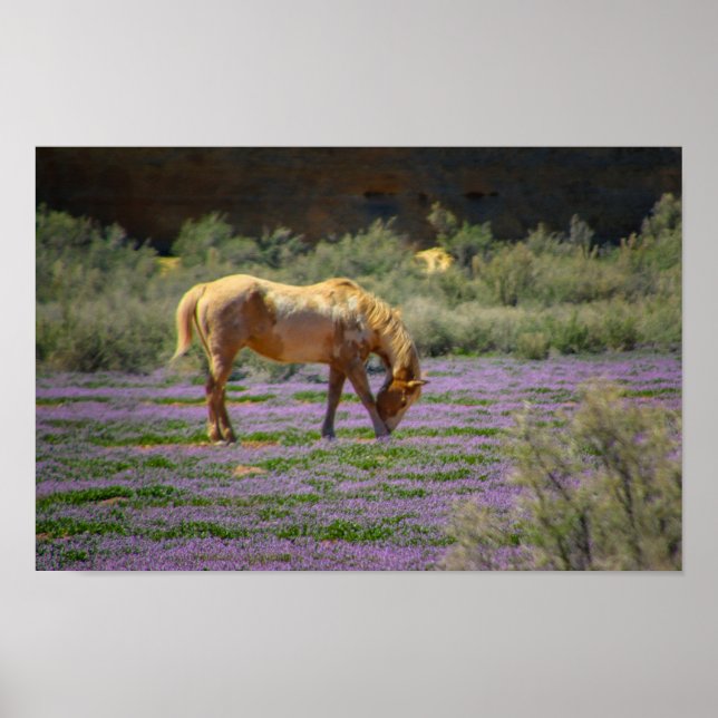 Poster Bela (Frente)