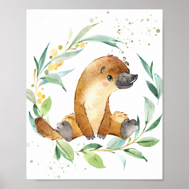 Poster Bela Arte de Muro do Platypus Eucalyptus Greenery  (Frente)