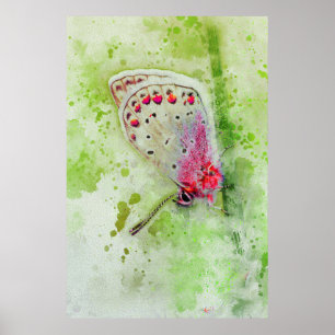 Poster bela borboleta branca em uma pintura de caule
