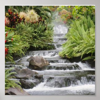 Pôster bela cachoeira