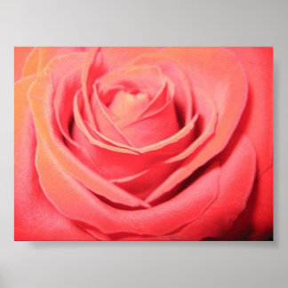 Poster Bela Canvas Rosa