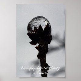 Poster Bela e maravilhosa chuva congelada