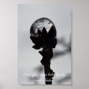 Poster Bela e maravilhosa chuva congelada