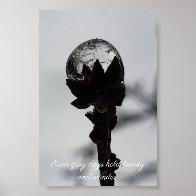 Poster Bela e maravilhosa chuva congelada (Frente)