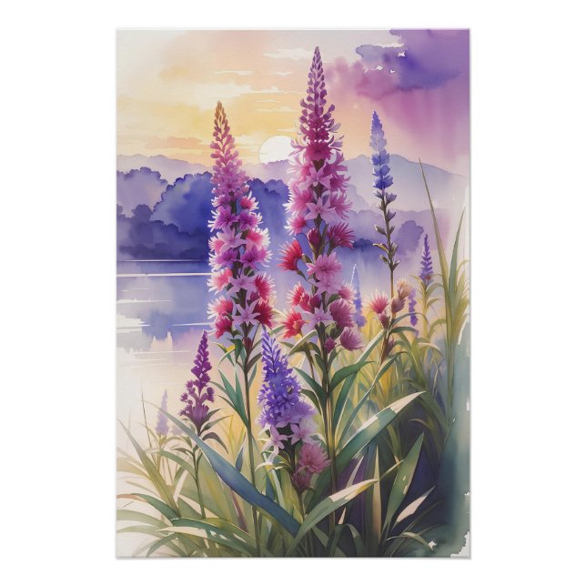 Pôster Bela estrela brilhante (Frente)