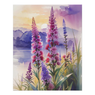 Pôster Bela estrela brilhante