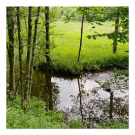 Pôster Bela floresta e rio belga, viagem