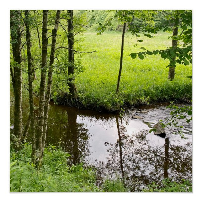 Pôster Bela floresta e rio belga, viagem (Frente)