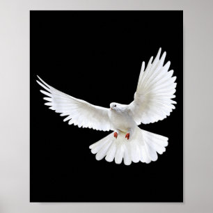 Poster Bela Foto Silhueta de Pombo Branco Pacífico Voando