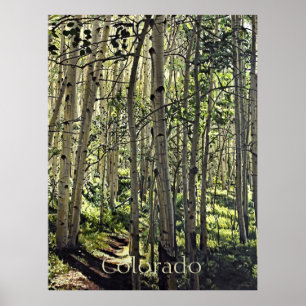 Poster Bela Grove de Aspen Árvores em Butte Po Deprimido
