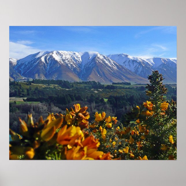 Poster Bela Nova Zelândia (Frente)