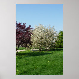 Poster Bela Paisagem com Árvores