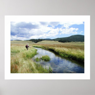 Poster Bela Pesca de Mosca