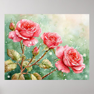 Poster Bela Pintura em Aquarela de Rosas Vermelhas