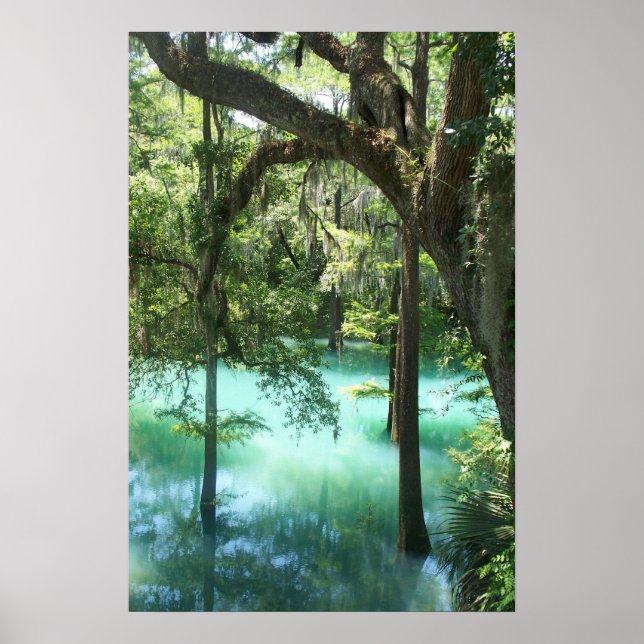 Pôster Bela Primavera Radium (Frente)