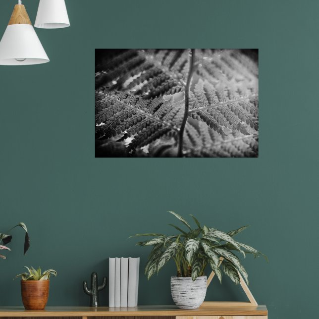 Poster Bela samambaia preta e branca (Sala de Estar 1)