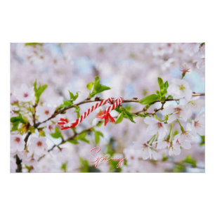 Pôster Bela saudação de primavera