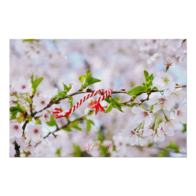Pôster Bela saudação de primavera (Frente)
