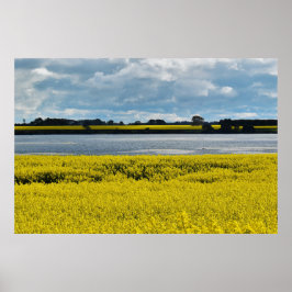 Poster Bela Streatham Dramática